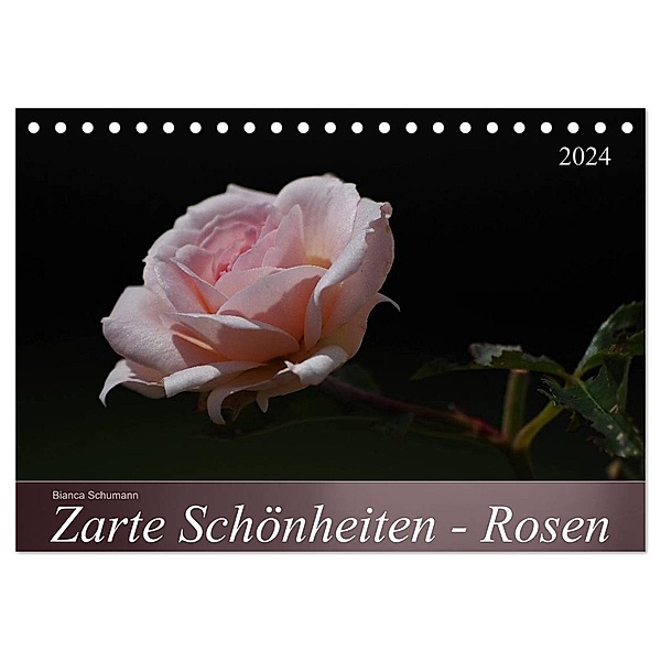 Zarte Schönheiten - Rosen (Tischkalender 2024 DIN A5 quer), CALVENDO Monatskalender, Bianca Schumann