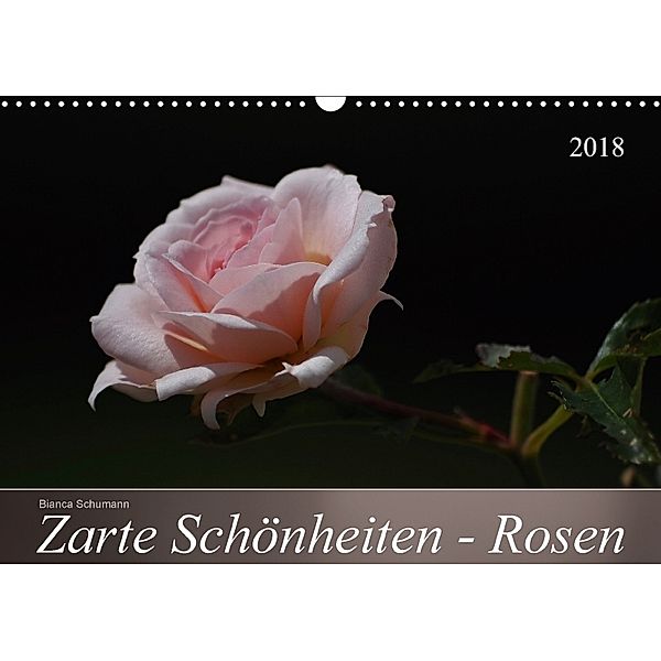 Zarte Schönheiten - Rosen (Wandkalender 2018 DIN A3 quer) Dieser erfolgreiche Kalender wurde dieses Jahr mit gleichen Bi, Bianca Schumann