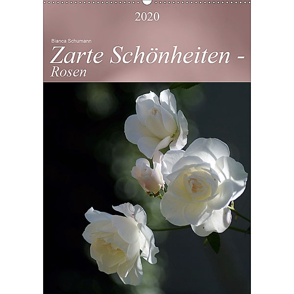 Zarte Schönheiten - Rosen (Wandkalender 2020 DIN A2 hoch), Bianca Schumann