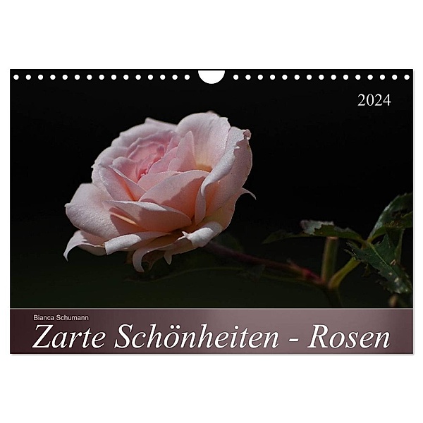 Zarte Schönheiten - Rosen (Wandkalender 2024 DIN A4 quer), CALVENDO Monatskalender, Bianca Schumann