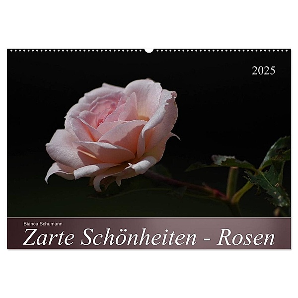 Zarte Schönheiten - Rosen (Wandkalender 2025 DIN A2 quer), CALVENDO Monatskalender, Calvendo, Bianca Schumann