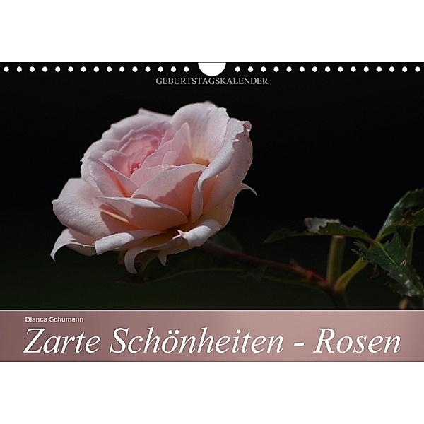 Zarte Schönheiten - Rosen (Wandkalender immerwährend DIN A4 quer), Bianca Schumann