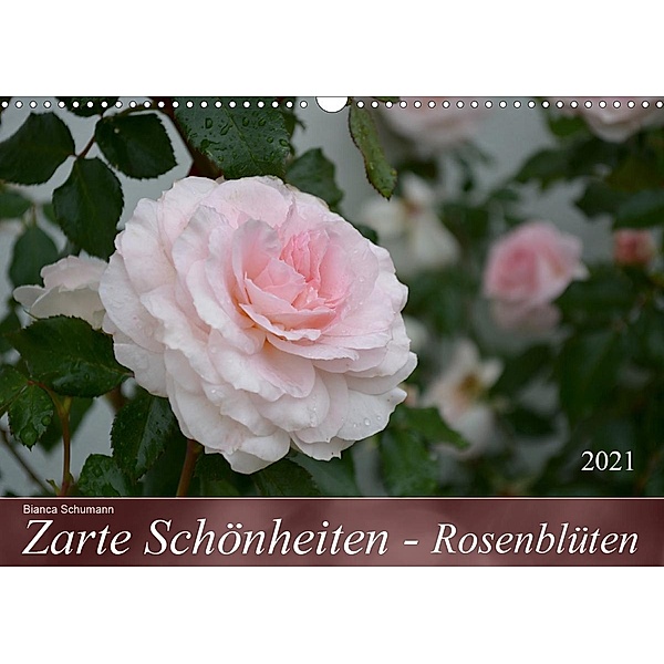 Zarte Schönheiten - RosenblütenAT-Version (Wandkalender 2021 DIN A3 quer), Bianca Schumann