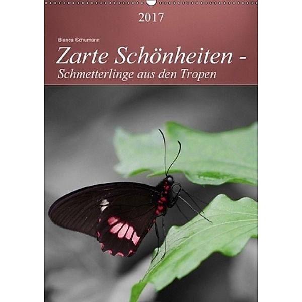 Zarte Schönheiten - Schmetterlinge aus den TropenAT-Version (Wandkalender 2017 DIN A2 hoch), Bianca Schumann