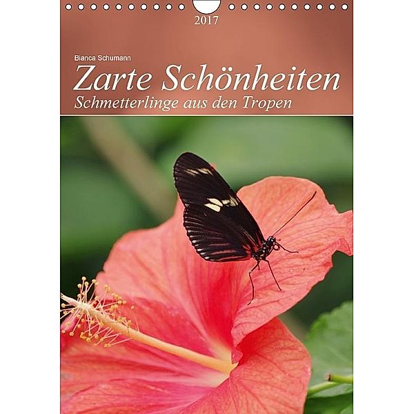 Zarte Schönheiten Schmetterlinge aus den TropenAT-Version (Wandkalender 2017 DIN A4 hoch), Bianca Schumann