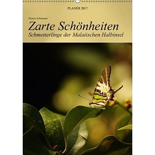 Zarte Schönheiten - Schmetterlinge der Malaiischen Halbinsel / Planer (Wandkalender 2017 DIN A2 hoch), Bianca Schumann