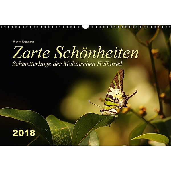 Zarte Schönheiten Schmetterlinge der Malaiischen Halbinsel (Wandkalender 2018 DIN A3 quer), Bianca Schumann