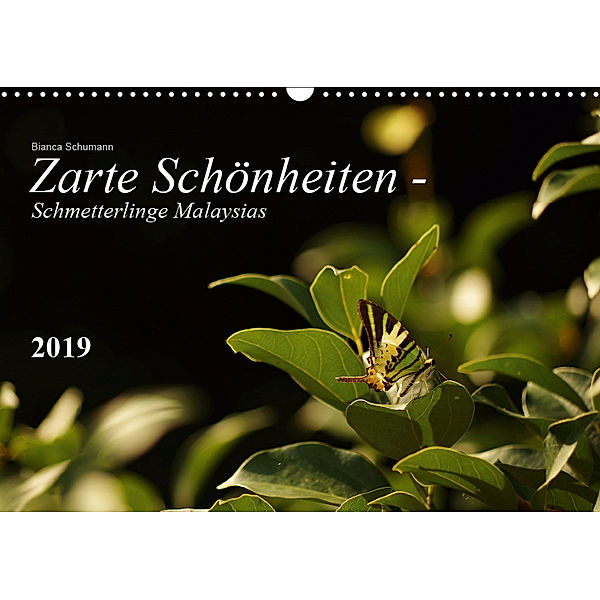 Zarte Schönheiten - Schmetterlinge MalaysiasCH-Version (Wandkalender 2019 DIN A3 quer), Bianca Schumann