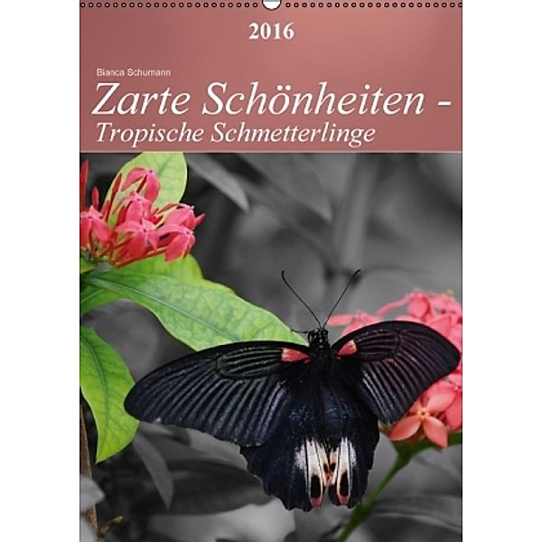 Zarte Schönheiten - Tropische Schmetterlinge CH-Version (Wandkalender 2016 DIN A2 hoch), Bianca Schumann