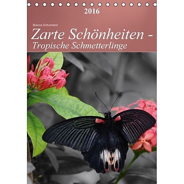 Zarte Schönheiten - Tropische Schmetterlinge CH-Version (Tischkalender 2016 DIN A5 hoch), Bianca Schumann