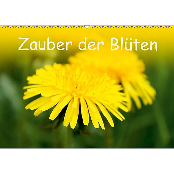 Zauber der Blüten (Wandkalender 2019 DIN A2 quer), Maria-Anna Ziehr