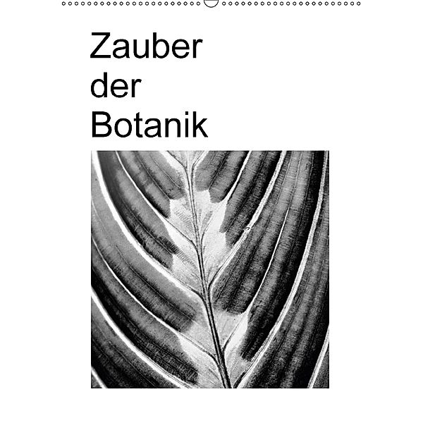 Zauber der Botanik (Wandkalender 2018 DIN A2 hoch), Friederike Küster