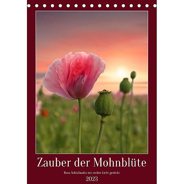 Zauber der Mohnblüte (Tischkalender 2023 DIN A5 hoch), Sabine Löwer