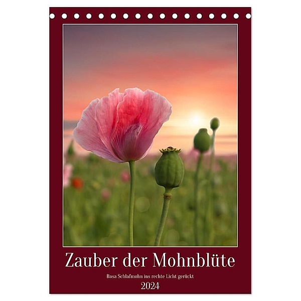 Zauber der Mohnblüte (Tischkalender 2024 DIN A5 hoch), CALVENDO Monatskalender, Sabine Löwer