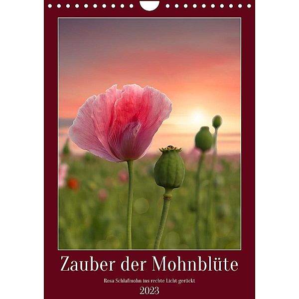 Zauber der Mohnblüte (Wandkalender 2023 DIN A4 hoch), Sabine Löwer