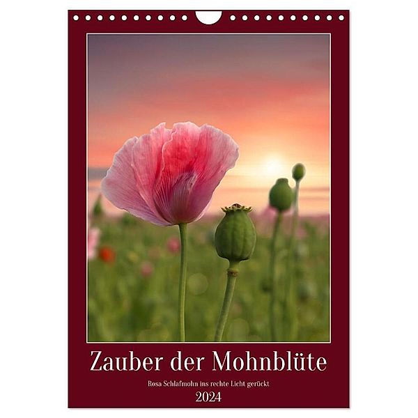 Zauber der Mohnblüte (Wandkalender 2024 DIN A4 hoch), CALVENDO Monatskalender, Sabine Löwer