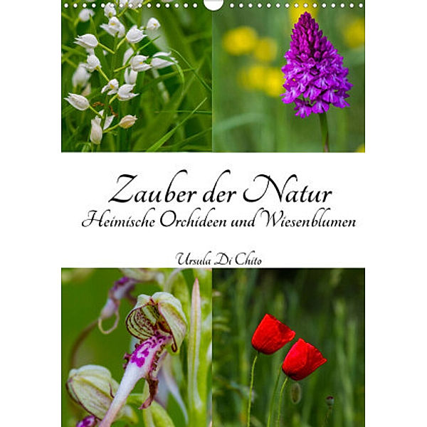 Zauber der Natur - Heimische Orchideen und Wiesenblumen (Wandkalender 2022 DIN A3 hoch), Ursula Di Chito