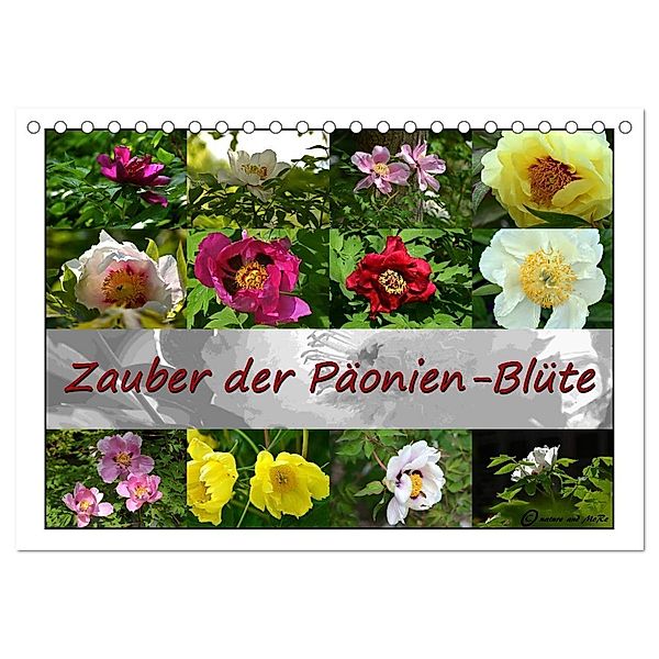 Zauber der Päonien-Blüte (Tischkalender 2024 DIN A5 quer), CALVENDO Monatskalender, Monika Reiter