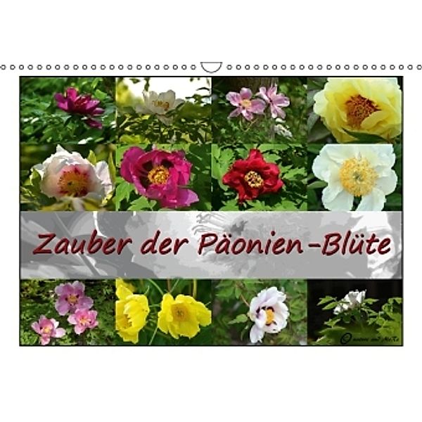 Zauber der Päonien-Blüte (Wandkalender 2015 DIN A3 quer), Monika Reiter