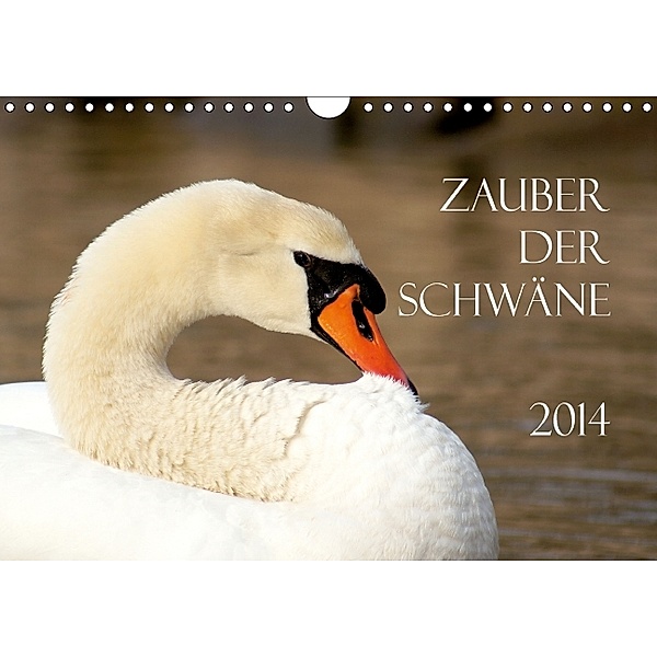 Zauber der Schwäne (Wandkalender 2014 DIN A4 quer), Julia Hy-Keller