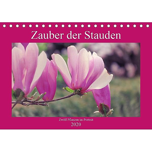Zauber der Stauden (Tischkalender 2020 DIN A5 quer), Marek Bunse