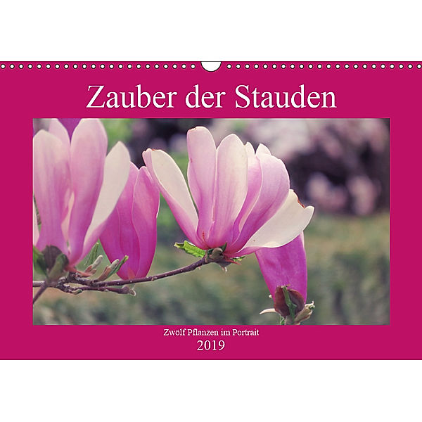 Zauber der Stauden (Wandkalender 2019 DIN A3 quer), Marek Bunse