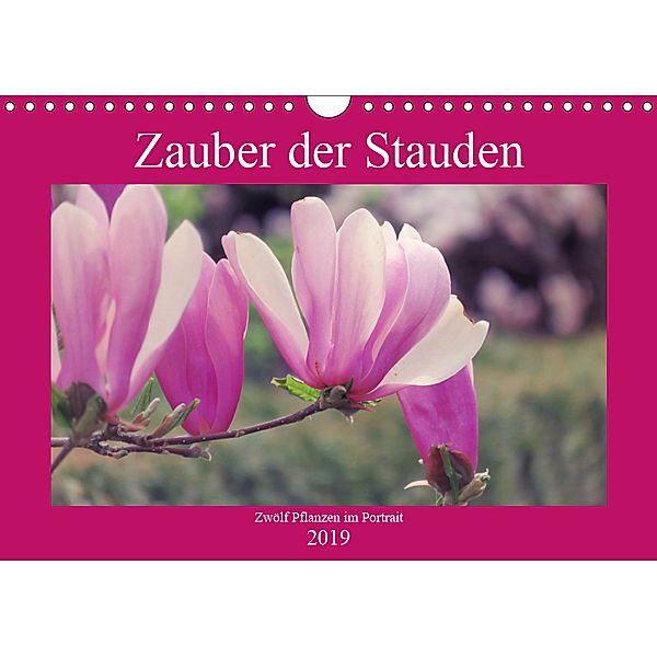 Zauber der Stauden (Wandkalender 2019 DIN A4 quer), Marek Bunse