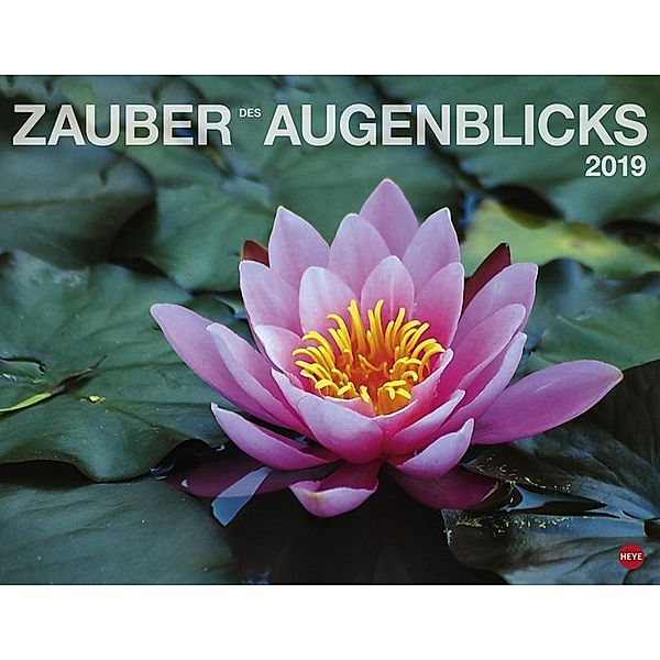 Zauber des Augenblicks 2019