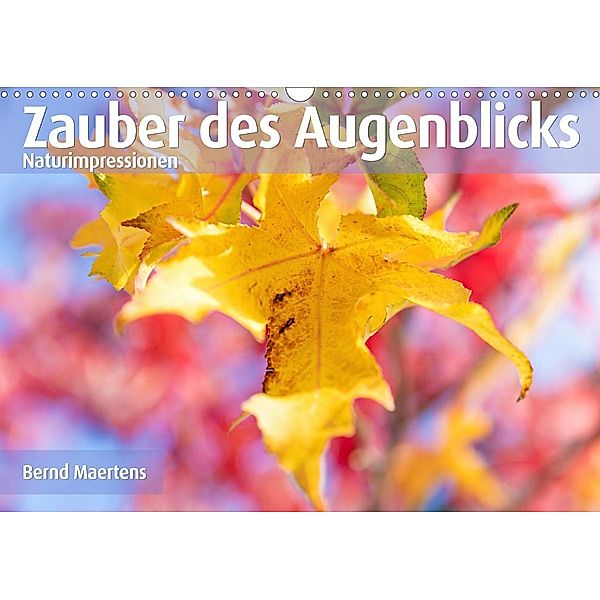 ZAUBER DES AUGENBLICKS Naturimpressionen (Wandkalender 2021 DIN A3 quer), Bernd Maertens