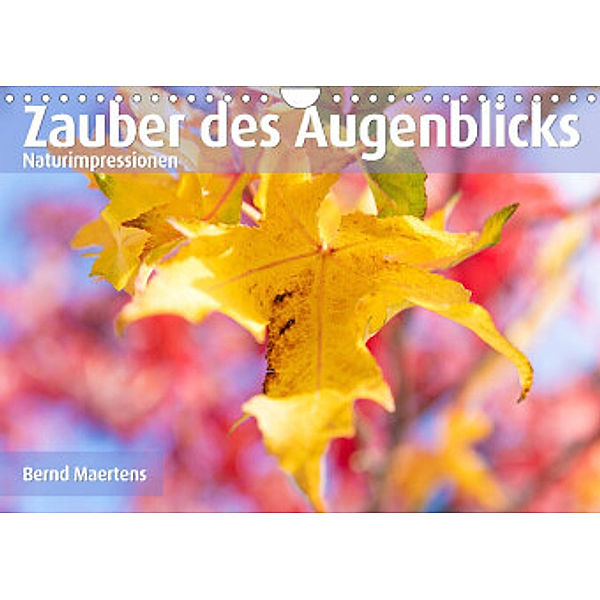 ZAUBER DES AUGENBLICKS Naturimpressionen (Wandkalender 2022 DIN A4 quer), Bernd Maertens