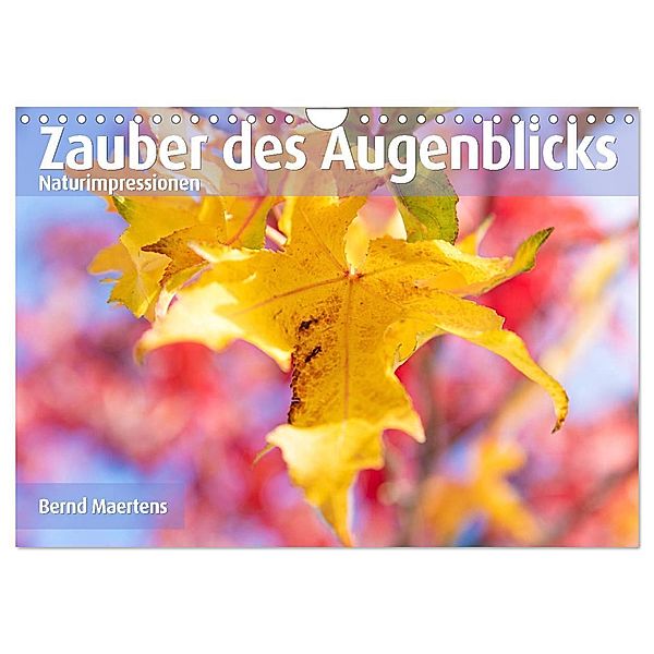 ZAUBER DES AUGENBLICKS Naturimpressionen (Wandkalender 2024 DIN A4 quer), CALVENDO Monatskalender, Bernd Maertens