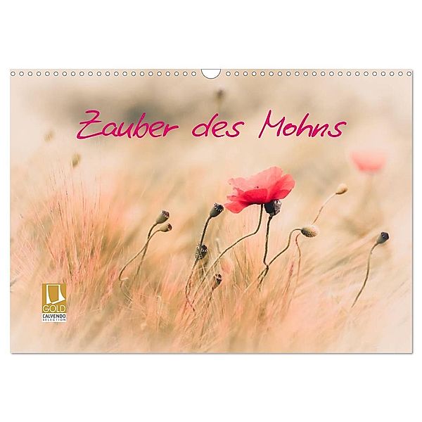 Zauber des Mohns (Wandkalender 2024 DIN A3 quer), CALVENDO Monatskalender, Annette Hanl