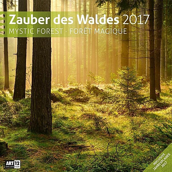 Zauber des Waldes 2017