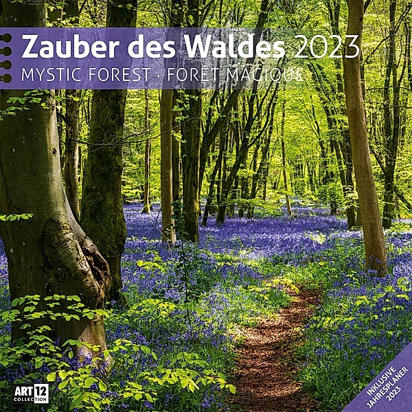 Zauber des Waldes Kalender 2023 - 30x30, Ackermann Kunstverlag