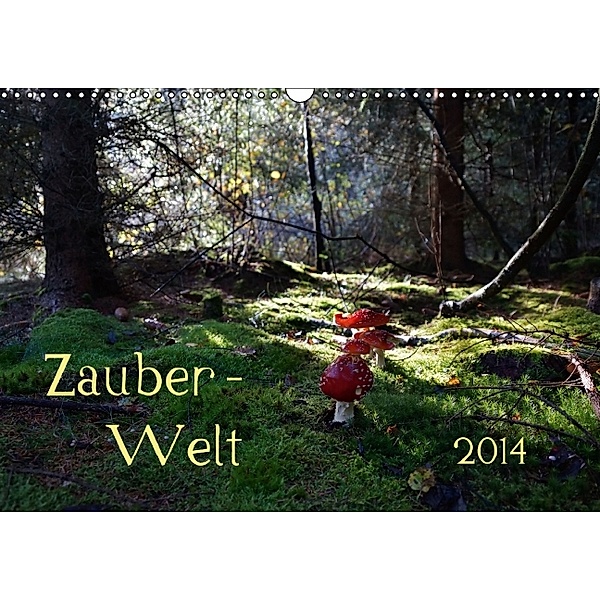 Zauber-Welt (Wandkalender 2014 DIN A3 quer)