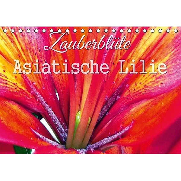 Zauberblüte - Asiatische Lilie (Tischkalender 2017 DIN A5 quer), Sandra Gebhardt