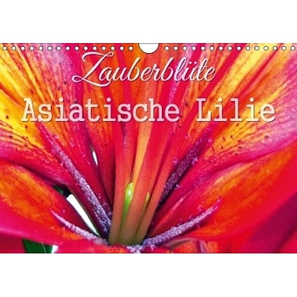 Zauberblüte - Asiatische Lilie (Wandkalender 2017 DIN A4 quer), Sandra Gebhardt