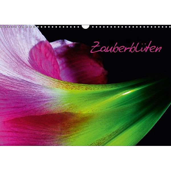 Zauberblüten (Wandkalender 2017 DIN A3 quer), Carsten Kienitz