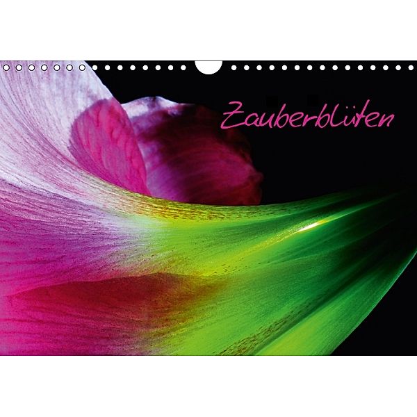 Zauberblüten (Wandkalender 2018 DIN A4 quer), Carsten Kienitz