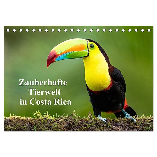 Zauberhaft Tierwelt in Costa Rica (Tischkalender 2024 DIN A5 quer), CALVENDO Monatskalender, Winfried Rusch