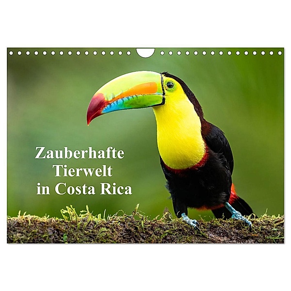Zauberhaft Tierwelt in Costa Rica (Wandkalender 2024 DIN A4 quer), CALVENDO Monatskalender, Winfried Rusch