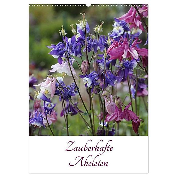 Zauberhafte Akeleien (Wandkalender 2024 DIN A2 hoch), CALVENDO Monatskalender, A. Goebel