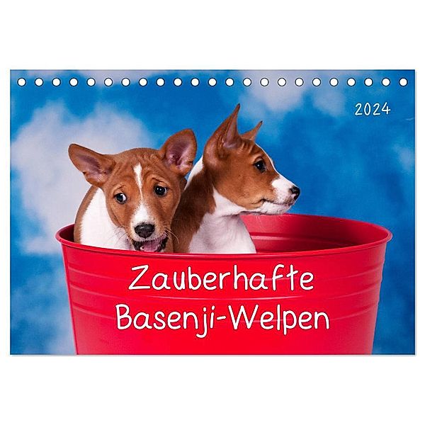 Zauberhafte Basenji-Welpen (Tischkalender 2024 DIN A5 quer), CALVENDO Monatskalender, Angelika Joswig