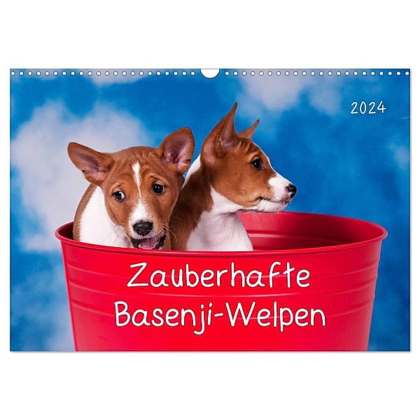 Zauberhafte Basenji-Welpen (Wandkalender 2024 DIN A3 quer), CALVENDO Monatskalender, Angelika Joswig
