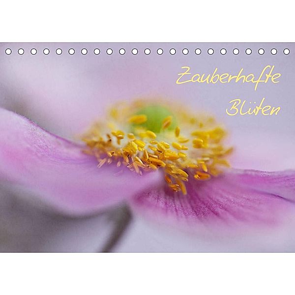 Zauberhafte Blüten (Tischkalender 2023 DIN A5 quer), Monika Buch