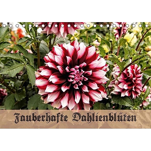 Zauberhafte Dahlienblüten (Tischkalender 2017 DIN A5 quer), Helmut Schneller