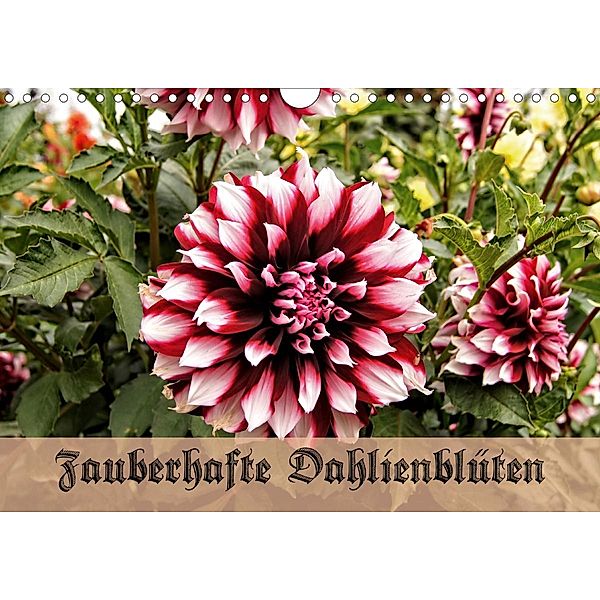 Zauberhafte Dahlienblüten (Wandkalender 2021 DIN A4 quer), Helmut Schneller