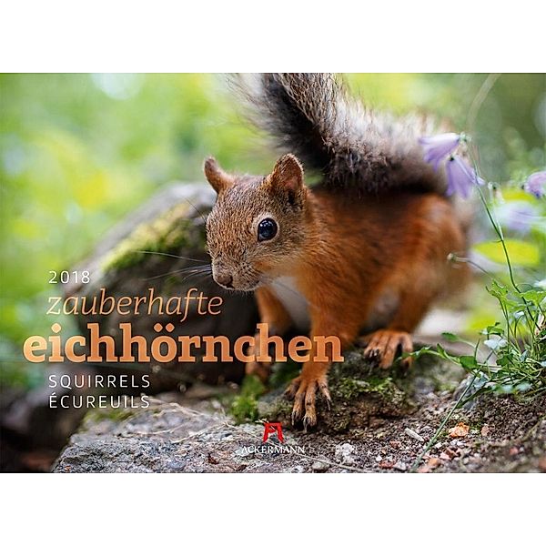 Zauberhafte Eichhörnchen 2018