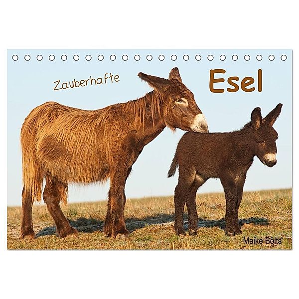 Zauberhafte Esel (Tischkalender 2024 DIN A5 quer), CALVENDO Monatskalender, Meike Bölts