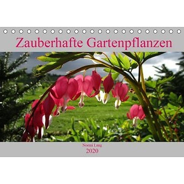Zauberhafte Gartenpflanzen (Tischkalender 2020 DIN A5 quer), Noemi Lang